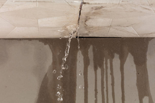 Professional Structural Drying technician working in Woodville, WI